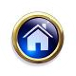 Home Icon